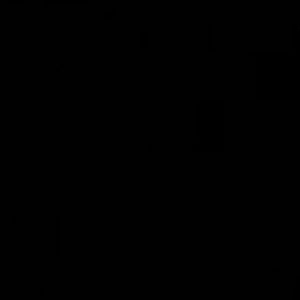 Meet your Posher, Diego